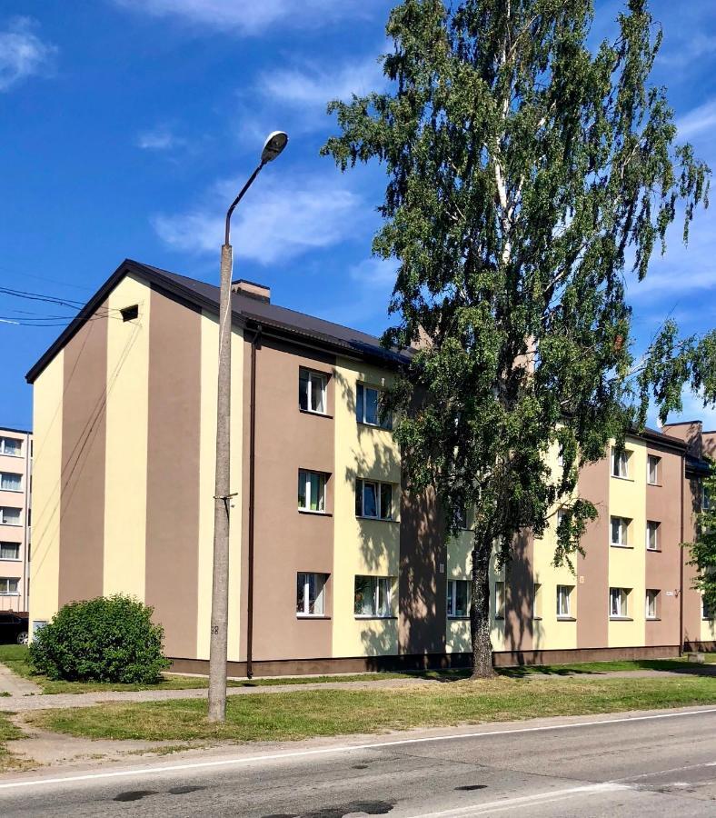 Majigs Dzivoklis Salacgrīva Dış mekan fotoğraf